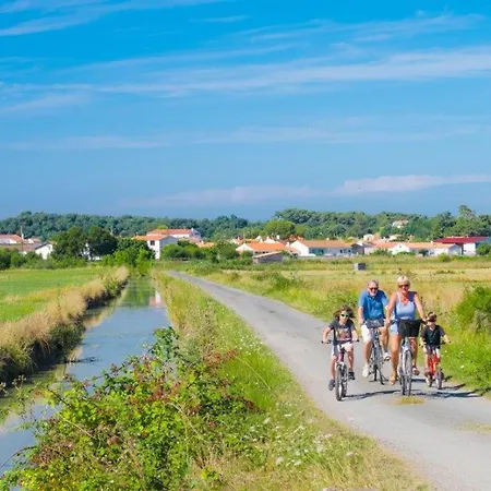 Semesterbostad Maison Moderne A La Tranche-sur-mer, 6 Pers, Terrasse, Jardin - Fr-1-194-339 *